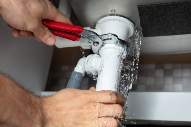 Best Local water damage restoration  in Santee, CA