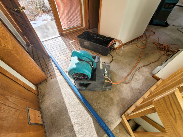 Best Ceiling water damage repair  in Santee, CA