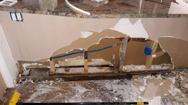 Best 24-hour water damage restoration  in Santee, CA
