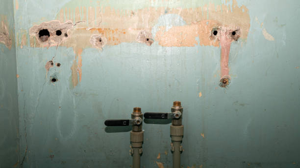 Best Mold removal after water damage  in Santee, CA